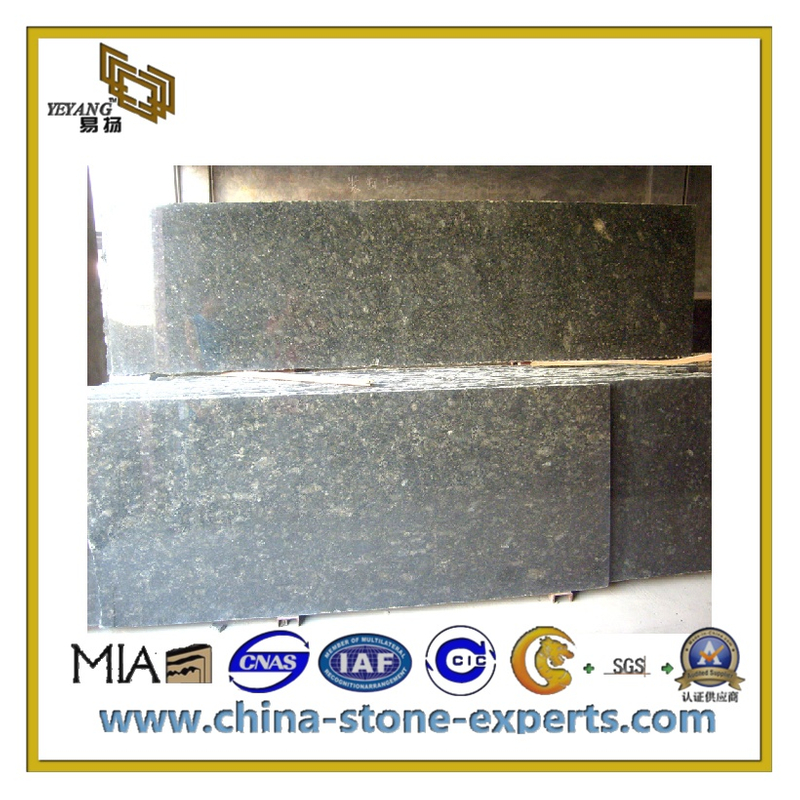 Verde Butterfly Granite Slab for Countertop / Kitchen / Vanity Top(YQC-GS1001)