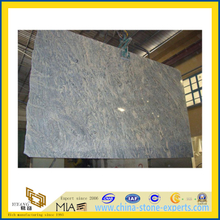 Natural Stone Grey Paradiso Granite Slab for Countertops (YQC)