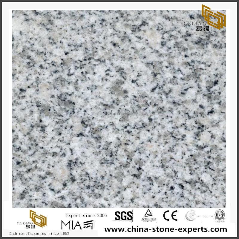 Grey Granite G603 Talila Granite Slabs For Sale
