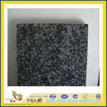 Natural Polished Leopard Skin Green Granite Tile for Wall/Flooring (YQC)
