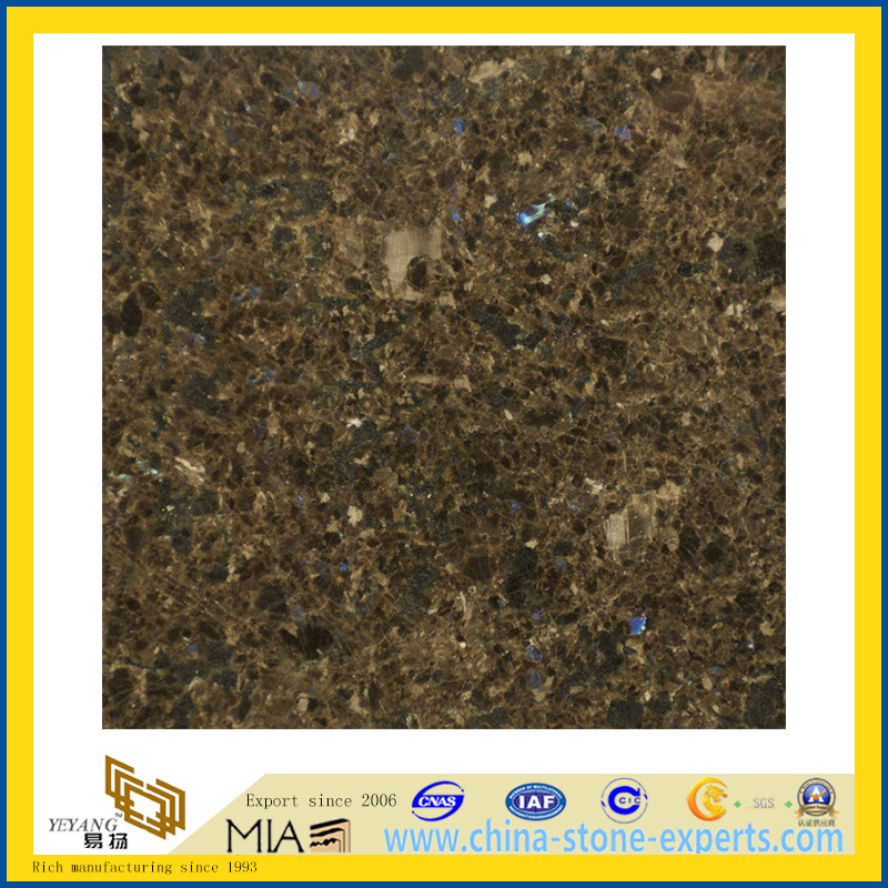 Natural Polished Labrador Antique Granite Tile for Wall/Flooring (YQC)