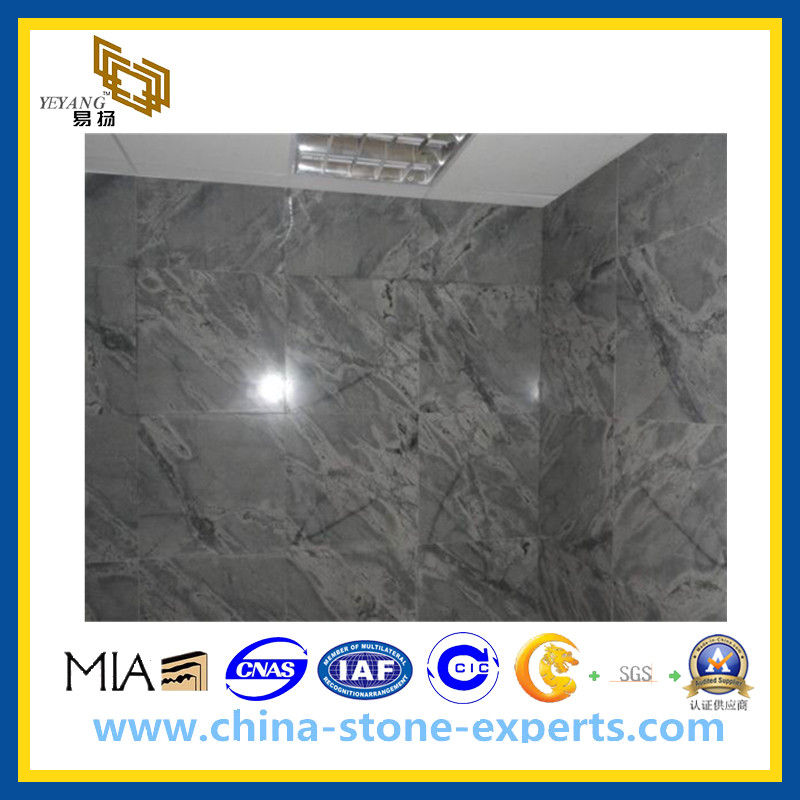 Grey Galaxy Granite Tiles for Wall and Floor(YQG-GT1027)