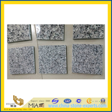 Cheap White Juparana Granite Floor Tile(YQG-GT1165)