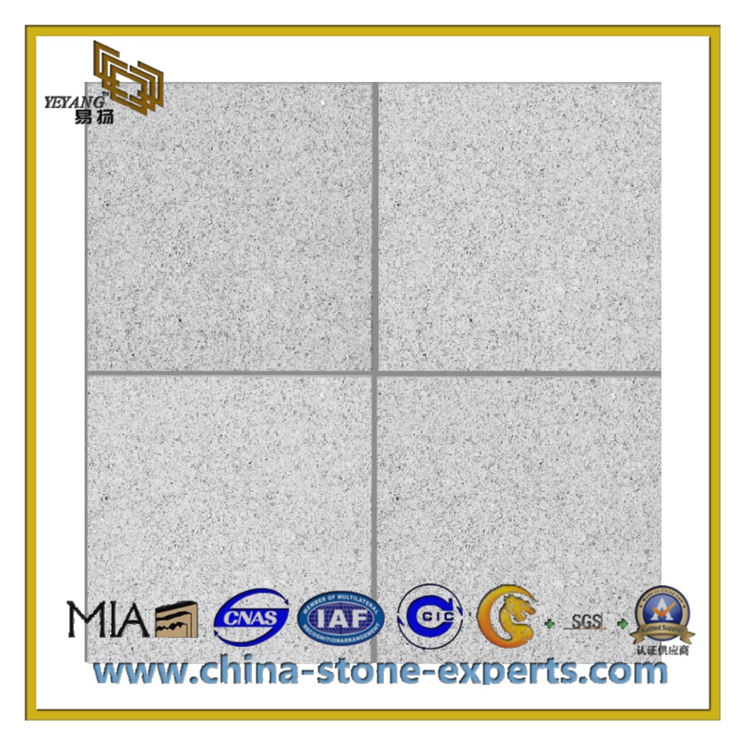 Polished Natural Stone Granite Tile for Flooring and Wall (YQC-GT1015)