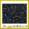 Starry Grey Granite for Wall Tile