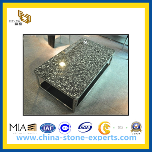 Shell Flower Black Fossil Marble Stone Table Tops(YQG-MC1012)