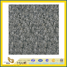 Discount Natural Polished India Ice Blue Granite Flooring Tile(YQG-GT1070)
