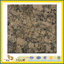 Giallo Fiorito Granite (YQA)