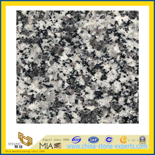 Polished G435 Granite Slabs (YQZ-G1012)