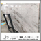Charming New Polished Arabescato Venato White Marble for Floor Tiles (YQW-MSA0621007)