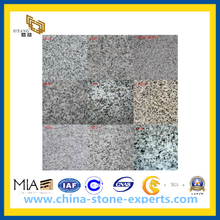 Natural Building Material China White Granite Stone for Flooring Countertop (YQZ-GS)