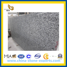 China Spray White/Sea Wave White Granite Slabs for Coutnertop (YQZ-GS)