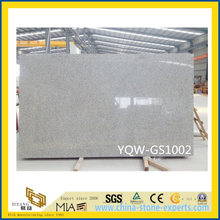 New Order Natural G602 Grey Granite with Own Quarry/Competive Prices