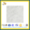 Polished Italy White Marble Floor, Bianco Carrara Marble Subway Tiles(YQC)