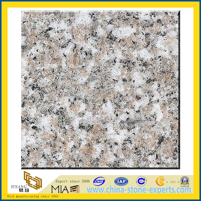 Polished Red G636 Granite Slabs for Countertops (YQZ-G1054)