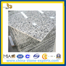 China Cheap White Granite Tile for Walling Flooring (YY -GT001)