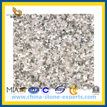 Pearl White Granite for Flooring and Kitchen Countertop G359 (YQG-GS1009)