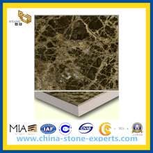 Marble Composite Stone Panel for Wall Cladding(YQC)