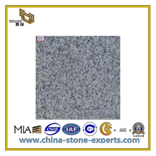 Natural Polished Grey G655 Granite Tiles for Flooring&Wall(YQC)