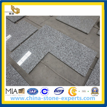 G439 Bianco Taupe Granite Countertop for Kitchen, Bathroom (YYAZ)