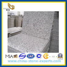 G655 Chinese Grey Granite Tile for Countertop, Walling(YQG-GT1025)