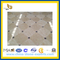Polished Natural Beige Stone Marble Flooring(YQC)