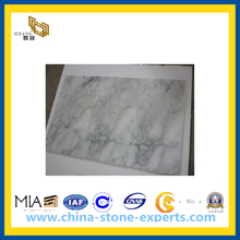 Arabescato White Marble Tile for Wall Cladding, Countertops(YQC)