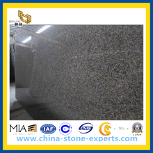 Chinese Camel Brown Granite Tiles for Countertop and Vanity Top (YQZ-GS)