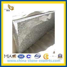 Hot Sell Chinese White Granite Slab for Wall Flooring (YQC-GC1004)