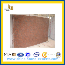 Polished G562 Maple Red Granite Slab for Floor&Wall Tile (YQZ-GS)