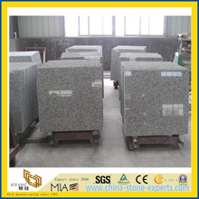Chinese Bala White Granite Tiles for Flooring and Wall