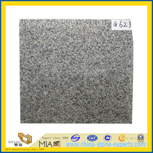 Bianco Sardo G623 Granite(YQG-GT1038)