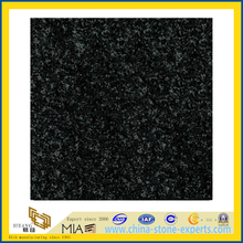 Cheap Price India Natural Tiger Black Stone Granite for Floor(YQG-GT1051)