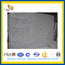 Wave White, Spray White Granite Slab for Countertop (YQZ-GS)