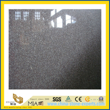 Natural Stone Polished Yellow G664 Granite Countertop for Kitchen/Bathromm (YQC)