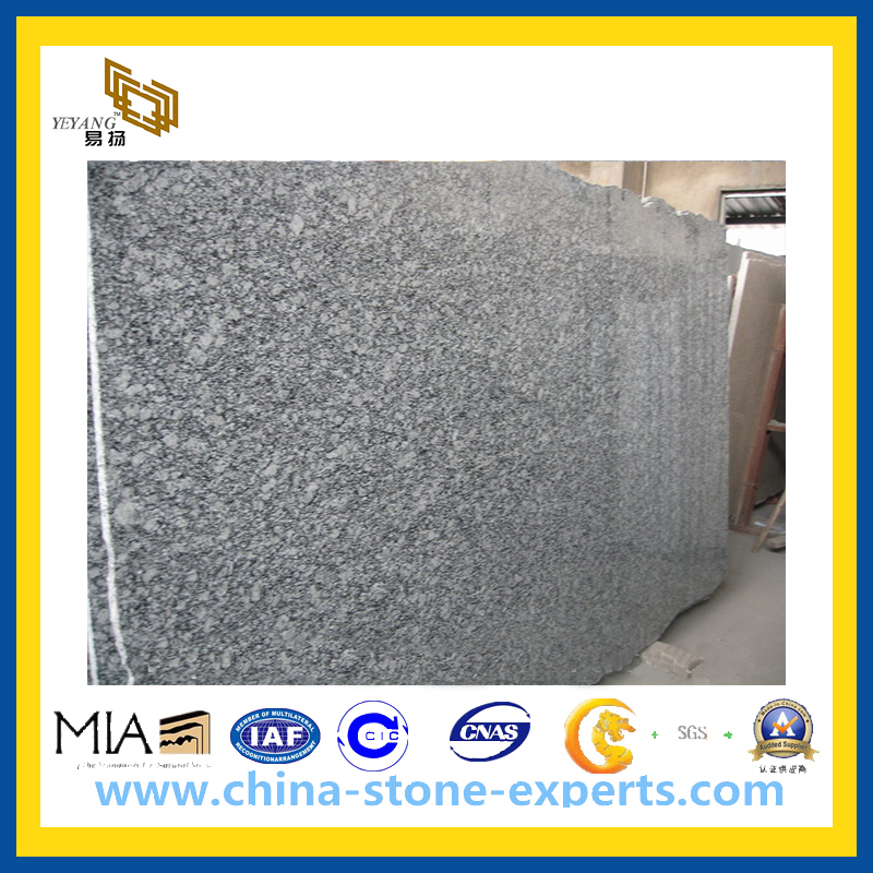 Polished Wave White Granite Slab, Natural Stone Slabs (YQZ-GS)