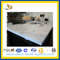 Natural Stone Green East White Marble Countertops (YQC-MC1004)