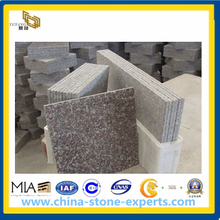 Brown Granite G664 Tiles for Wall (YQA)