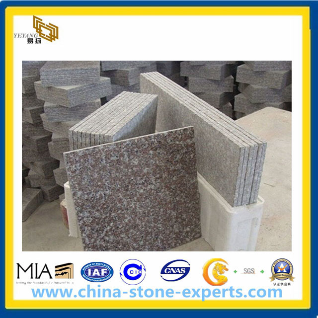 Brown Granite G664 Tiles for Wall (YQA)