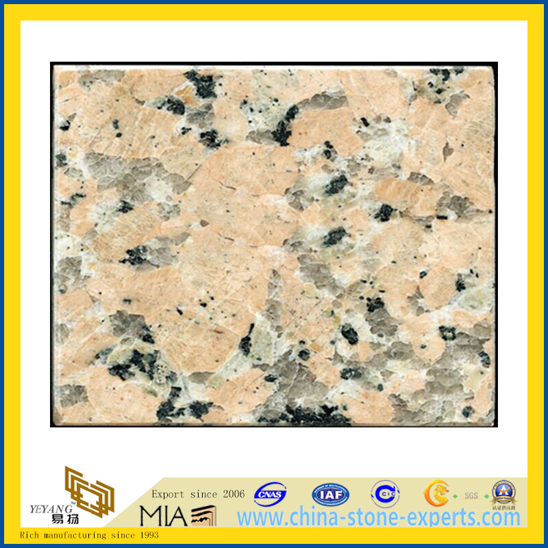 Huidong Red Stone Tiles for Kitchen Floor and Wall(YQG-GT1119)