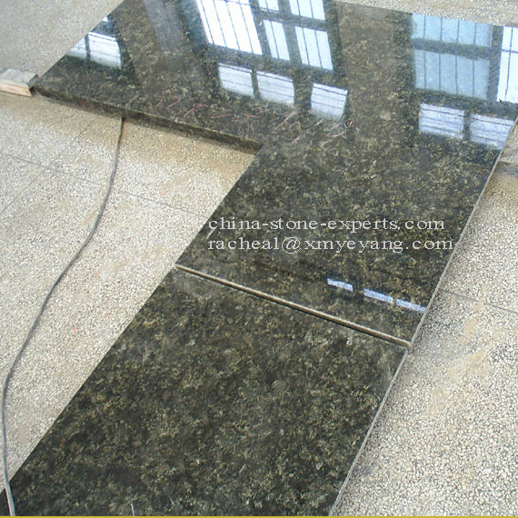 Polished Butterfly Green Granite Kitchen Countertop (YQZ-GC1032)