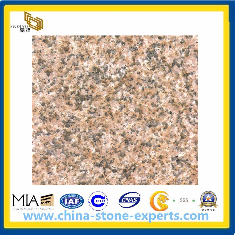 Chinese Granite Zhangpu Rust Granite Slabs for Flooring &Countertop (YQG-GS1013)