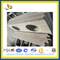 Gold Silk Stone Granite Counter Top for Kitchen, Bathroom(YQG-GC1086)