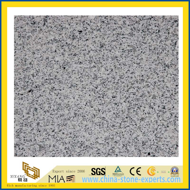 Natural Stone Polished Grey G603 Granite Countertops for Kitchen/Bathromm (YQC)