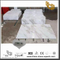 Beautiful Arabescato Venato White Marble Tiles for Floor design (YQW-MSA070605）