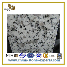 Natural Polished Bala White Granite Tiles for Flooring&Wall(YQC)