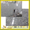 Angel White Granite Countertops for Kitchen (YYS-017)
