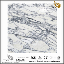 Arabescato White marble for interior design （YQN-092604）