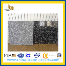 Sea Shell Black Marble Tile & Slab(YQG-MT1018)