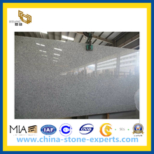 Cheapest China New Granite-G602 White/ Grey/Bianco Crystal Slabs (YQZ-GS)